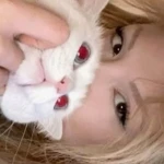 celilbey