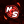 NeXTGenStore