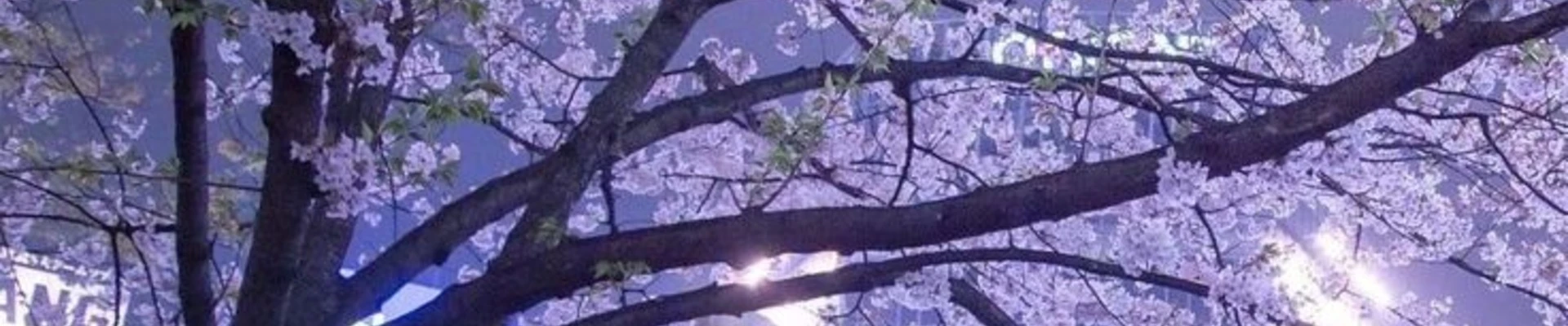 varlimiray Kapak Fotoğrafı