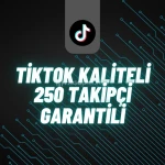 250 KALİTELİ TİKTOK TAKİPÇİ GARANTİLİ