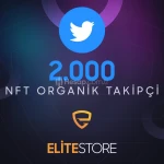 Twitter 2000 Gerçek NFT-Crypto Takipçi