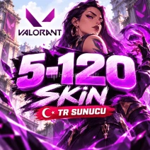 💙 TR SUNUCU 5-120 SKİN VALORANT RANDOM💙