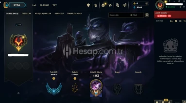 TR PLAT 2 92 LP BOL SKİNLİ GÜZEL HESAP