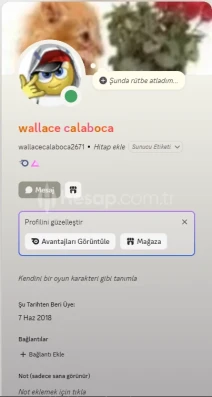 Discord Silver Acc (temiz acc)