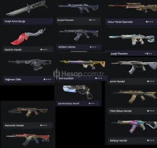 6 VANDALLI PEEK ELO DİA 2 HESAP