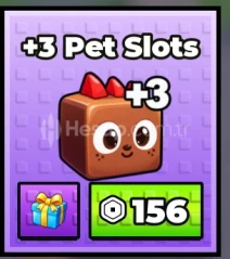 +1 Stone Skipping +3 Pet Slot Gamepass Gift