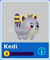 GRİ KEDİ 2019 LEVEL 3 PERFECT PK XD