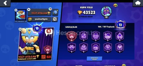 43K kupa 800 elmas 106 karakter