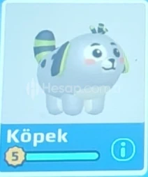 PK XD GRİ KÖPEK 5 LEVEL UYGUN FİYAT