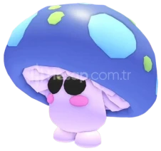 ⭐ | 1 Adet M Mushroom Friend | Adopt Me