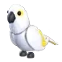 ⭐ | 1 Adet MR White Amazon | Adopt Me