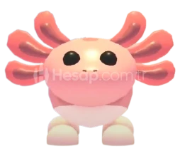 ⭐ | 1 Adet M Axolotl | Adopt Me