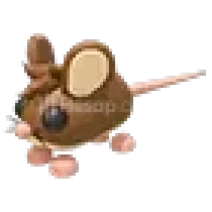 ⭐ | 1 Adet NFR Field Mouse | Adopt Me