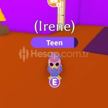 ⭐ | 1 Adet MF Dodo | Adopt Me - Roblox