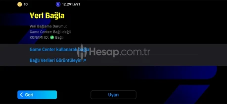 109 messili  tek bağ uyguna hesap