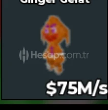 ⭐75Ms Ginger Gerat (EN UCUZU)⭐