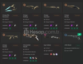 TR - ARAXYS FULL SET - DİA 1 PEAK - 19 VP DEĞER  - KOŞ