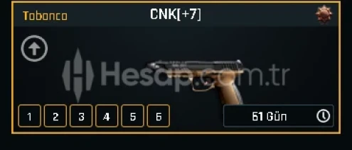 +7 CNK TABANCA - ZULA TEŞKİLAT