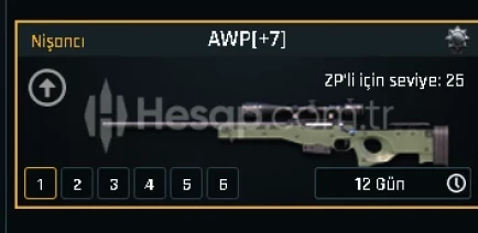 +7 AWP SATILIK - ZULA TEŞKİLAT