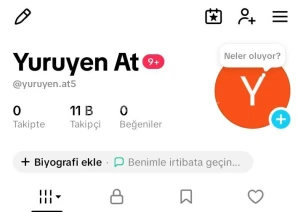 11.000 Takipçili Aktif Tiktok Hesabı