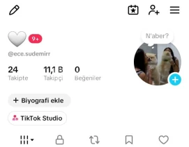 11.100 Takipçili Aktif Tiktok Hesabı
