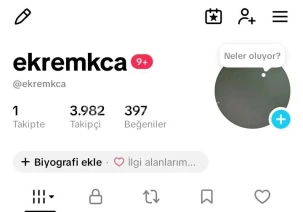 3.982 Takipçili Aktif Tiktok Hesabı