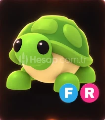 🐢1 Adet FR Turtle | Adopt Me 🐢