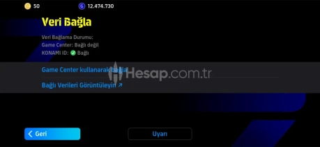 TEK BAĞ-Q7- satılık-Uygun fiyat 5Özel Teknik direktör