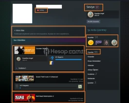 4025 TL STEAM BAKİYE RED DEAD 1-2 GTA IV God of War DAR