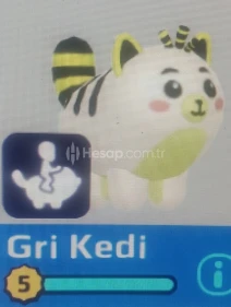 PK XD BİNEK GRİ KEDİ UYGUN FİYAT