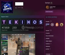 41 LEVEL STEAM HESAP 83 ADET  OYUN