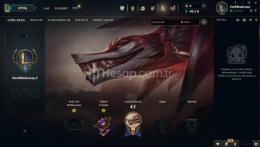 LOL EUW UNRANKED HESAP 30 LVL 50K MAVİ ÖZ