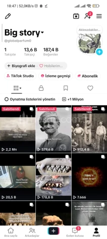 13 k takipçili satılık tiktok hesabı