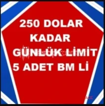 ⭐ 250 DOLAR 5 BM li MALİ ERİŞİMLİ FACEBOOK ⭐