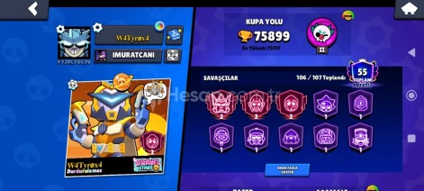 75k brawl stars 327 toplam kostüm