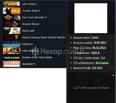 ETS 2 Battlefield 1 Dying Light Enigmoon 10.000 TL STEA