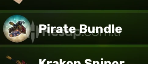 Rivals Pirate Bundle Gamepass Gift