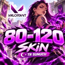💙 TR SUNUCU 80-120 SKİN VALORANT RANDOM💙