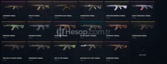 VALORANT TR | 2023-2024 CHAMPIONS FULL SKINLI HESAP