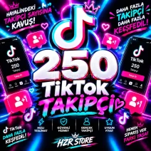 250 TikTok takipçi otomatik teslimat