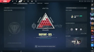 Valorant radiant ranklı full skinli hesap