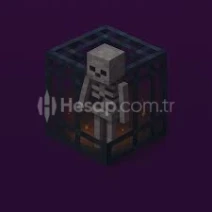 Aesir Asmp İskelet Spawner 1 Adet