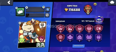 +9K ELO 116K FUL HERŞEYİ MAX HESAP