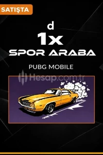 X1  ARABA POĞLERLİĞİ X1  ŞEKLİNDE