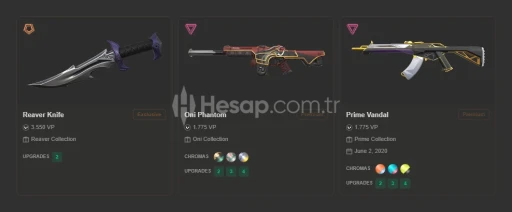 EU - YAĞMACI BIÇ - ASİL VANDAL - ONİ PHANTOM - UNRANKED
