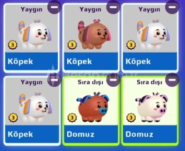 PK XD 2019 KARIŞIK PERFCT LVL 3 ( 6 ADET )