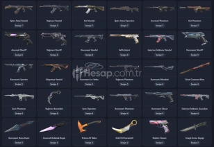 Yüksek MMR Güzel Skinli İmmortal Valorant Hesap