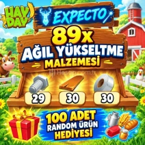 HAYDAY 89 ADET AĞIL YÜKSELTME MALZEMESİ
