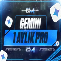 Gemini Pro 1 Aylık Kendi Mailinize