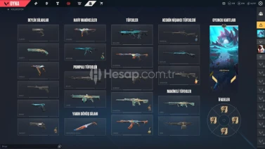 13 skinli 40 lvl hesap mail değişen